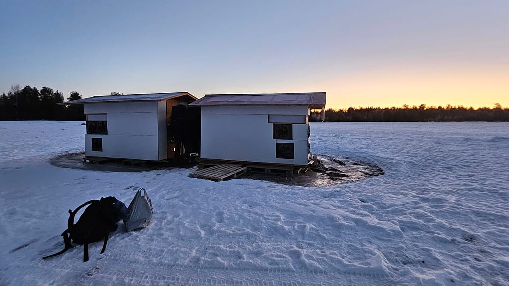 Black Grouse hides in Finland