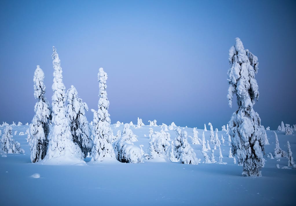 cold winter landscape in Finland