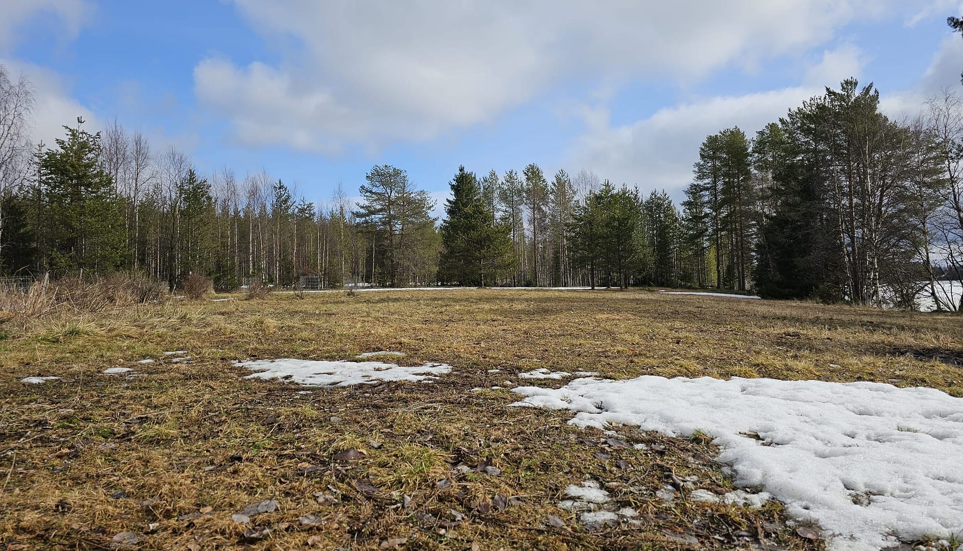 Spring Came Too Early This Year