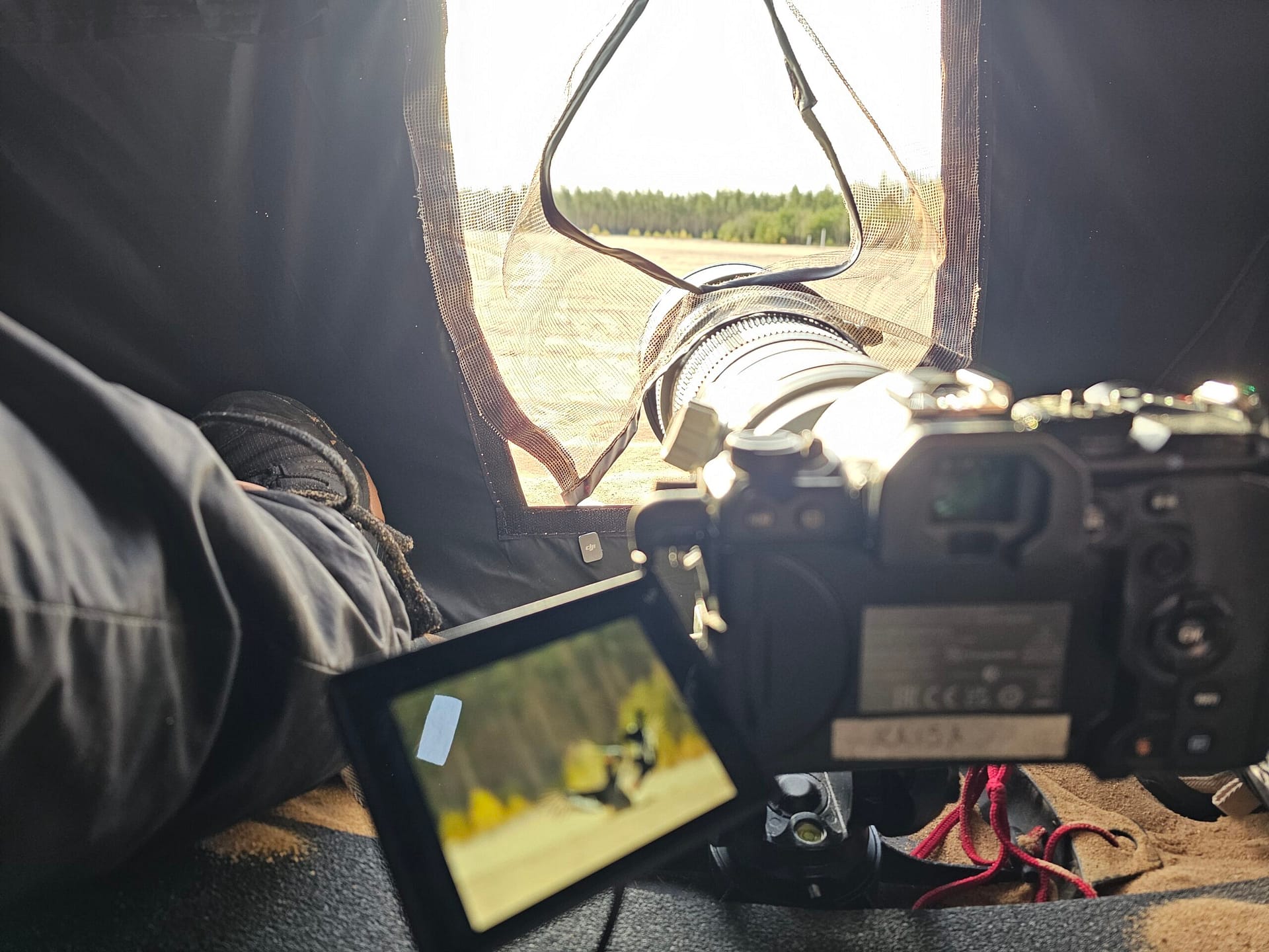 What to Consider Before Booking a Wildlife Photography Hide